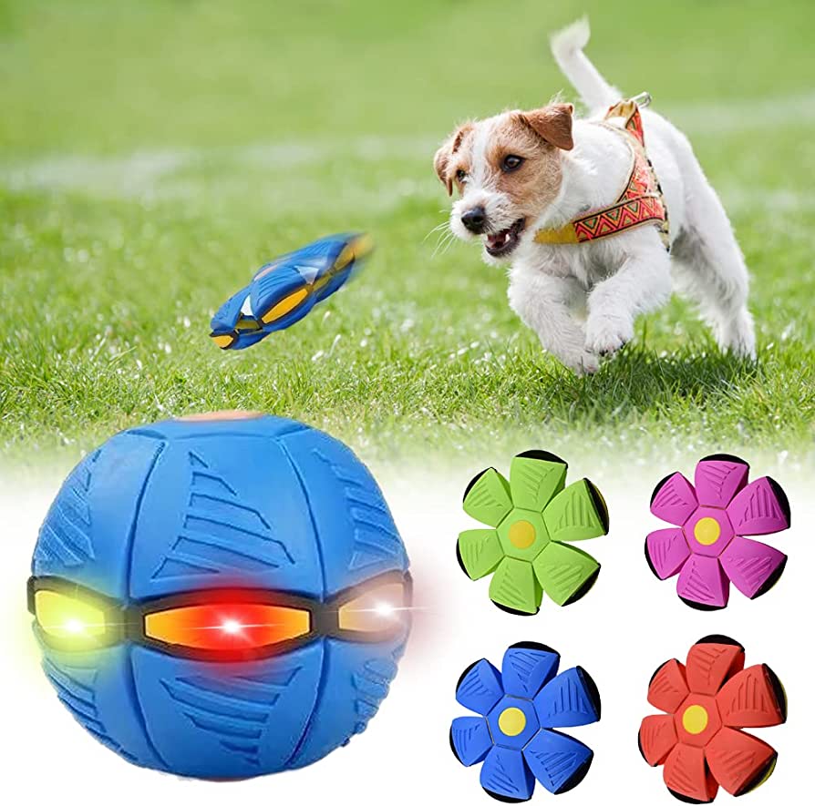 Fun Dog Frisbee